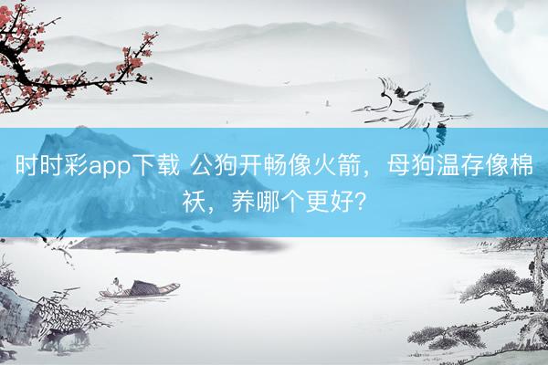 時時彩app下載 公狗開暢像火箭，母狗溫存像棉襖，養(yǎng)哪個更好？