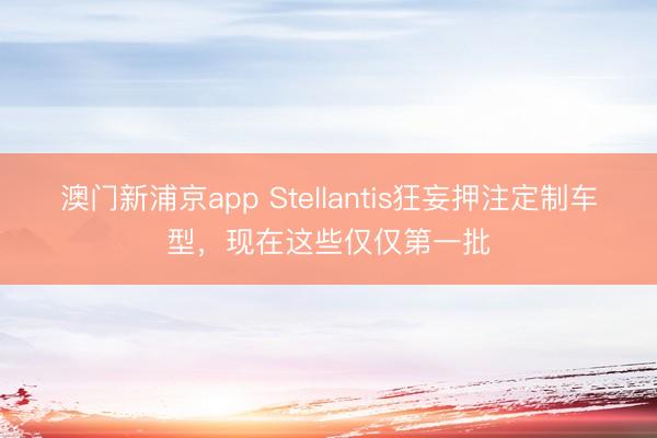 澳門新浦京app Stellantis狂妄押注定制車型，現在這些僅僅第一批