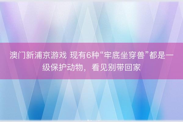 澳門新浦京游戲 現有6種“牢底坐穿獸”都是一級保護動物，看見別帶回家