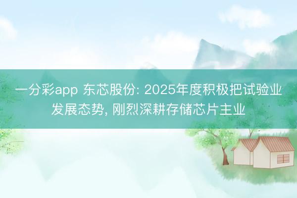 一分彩app 東芯股份: 2025年度積極把試驗(yàn)業(yè)發(fā)展態(tài)勢(shì), 剛烈深耕存儲(chǔ)芯片主業(yè)